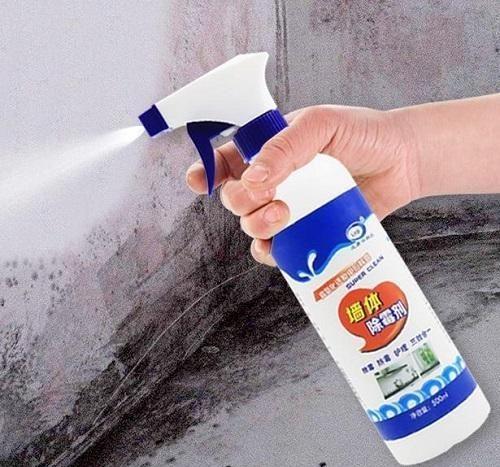 墻壁為什么會發霉？發霉了怎么辦？
