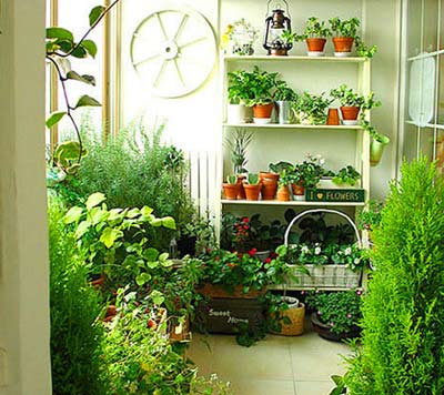 怎么能快速的去除家里的甲醛氣體？